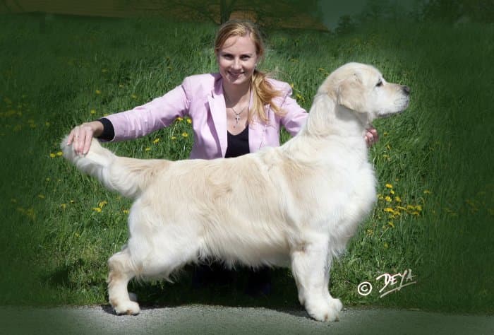 Int. Champion Xanthos Blaze of Glory (Rudy)