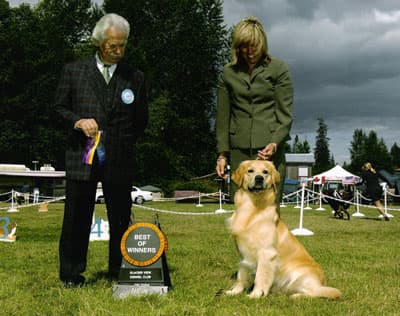 Champion Xanthos Glastonbury (Tristan)