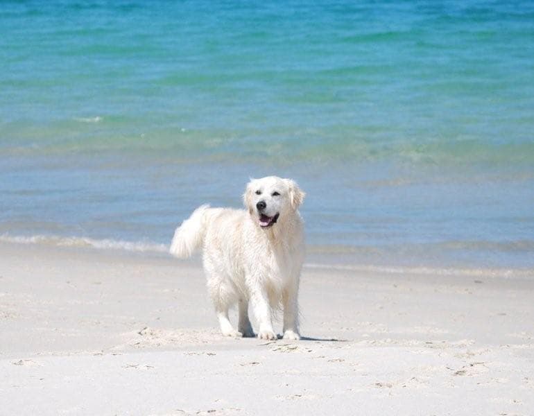 Fletcher Christian – on the beach
