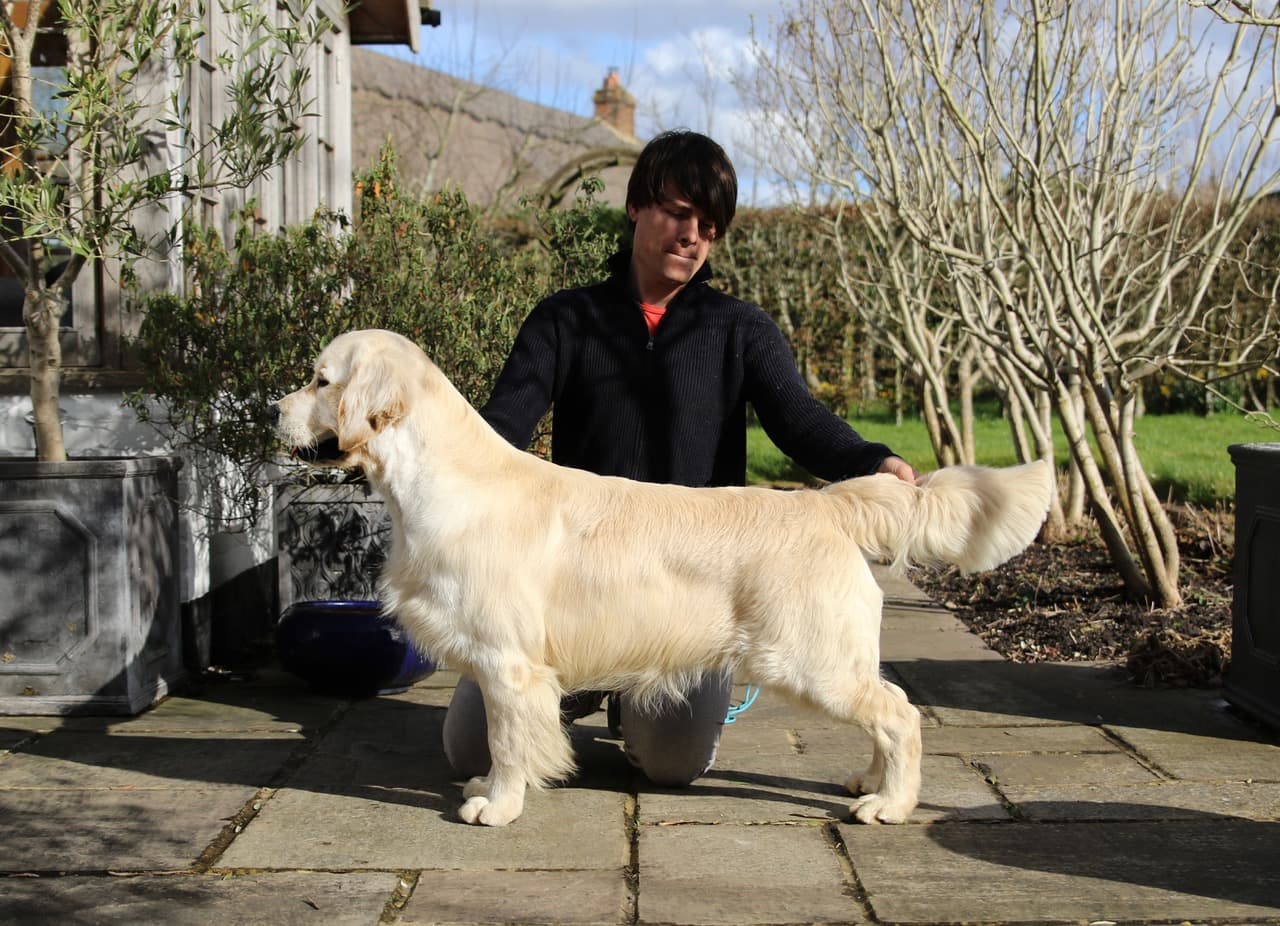 Jude – 17 months