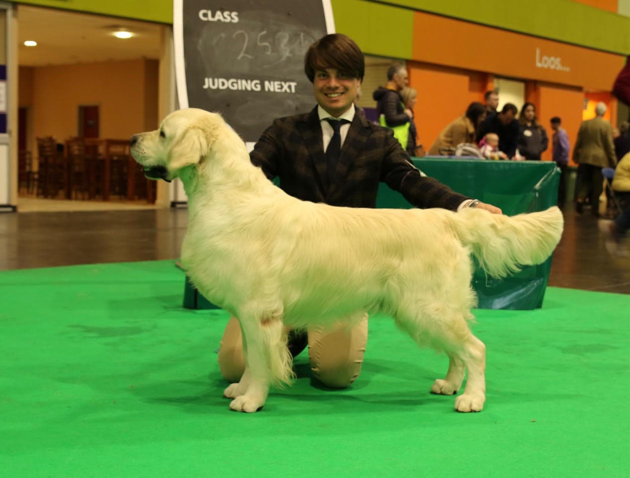 Tarot – Crufts 2022