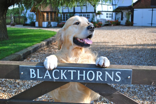 Blackthorns, Odiham, Hampshire
