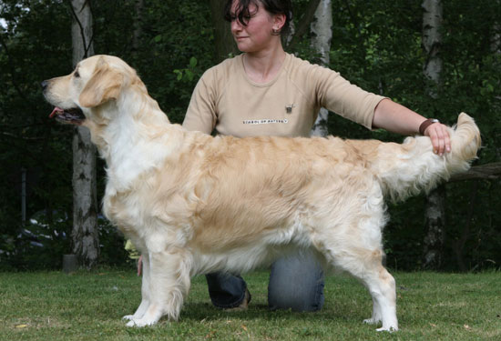 Champion Xanthos Carissima (Cara)