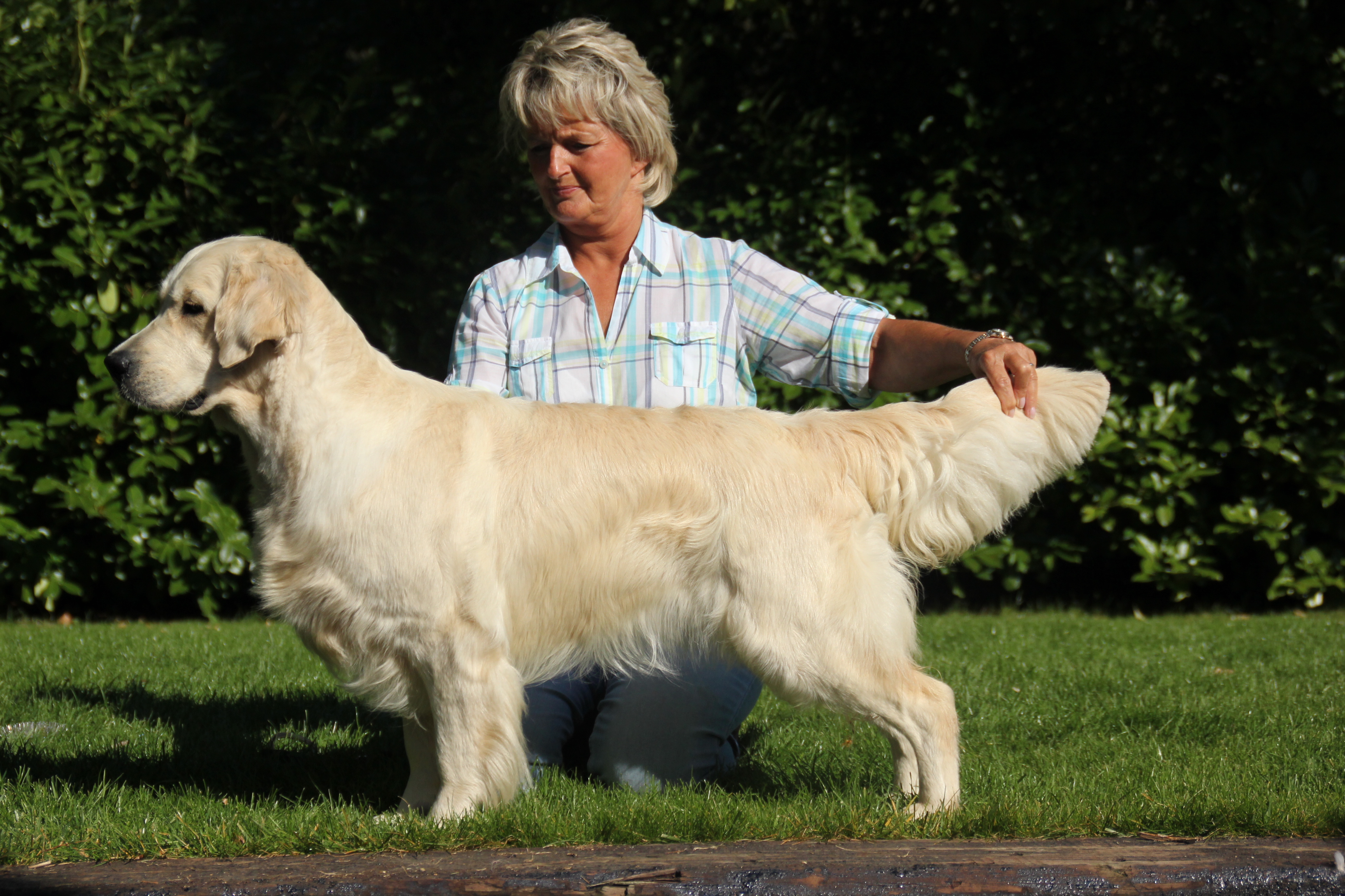 Champion Xanthos Nymphadora Tonks JW (Tonks)