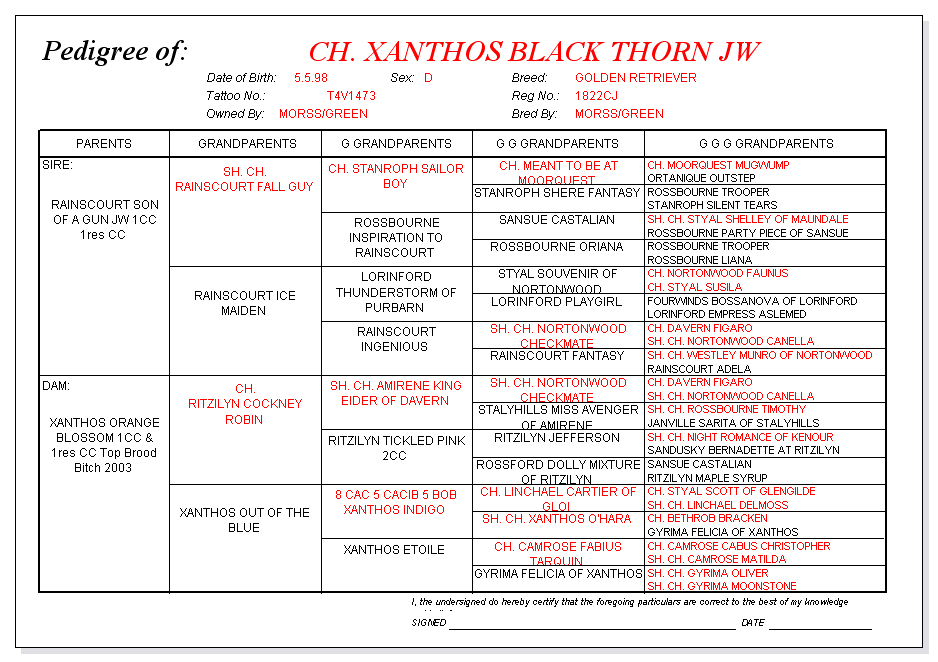 Blackthorn pedigree