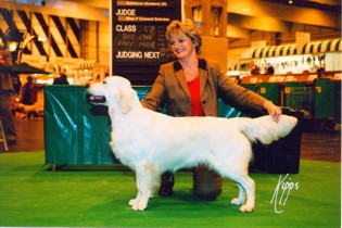 Effervescent at Crufts 2003