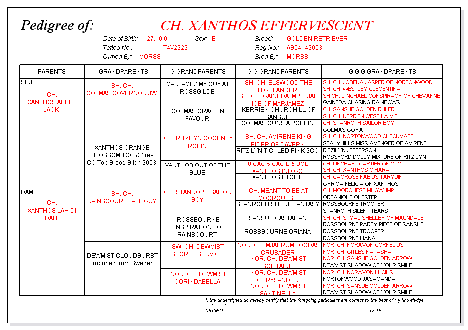 Effervescent pedigree