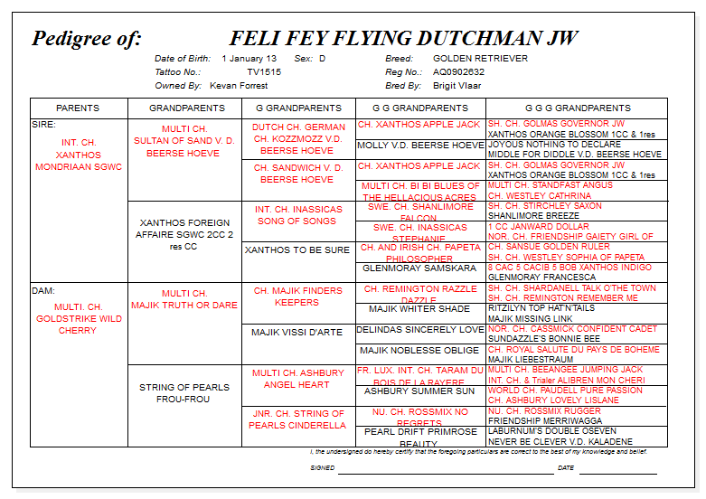 Feli Fey pedigree