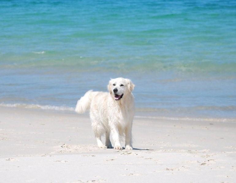 Fletcher Christian – on the beach