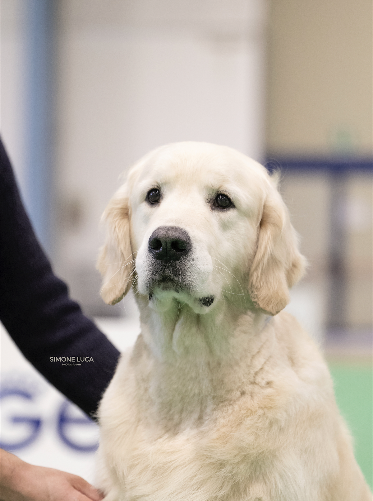 Jude – results