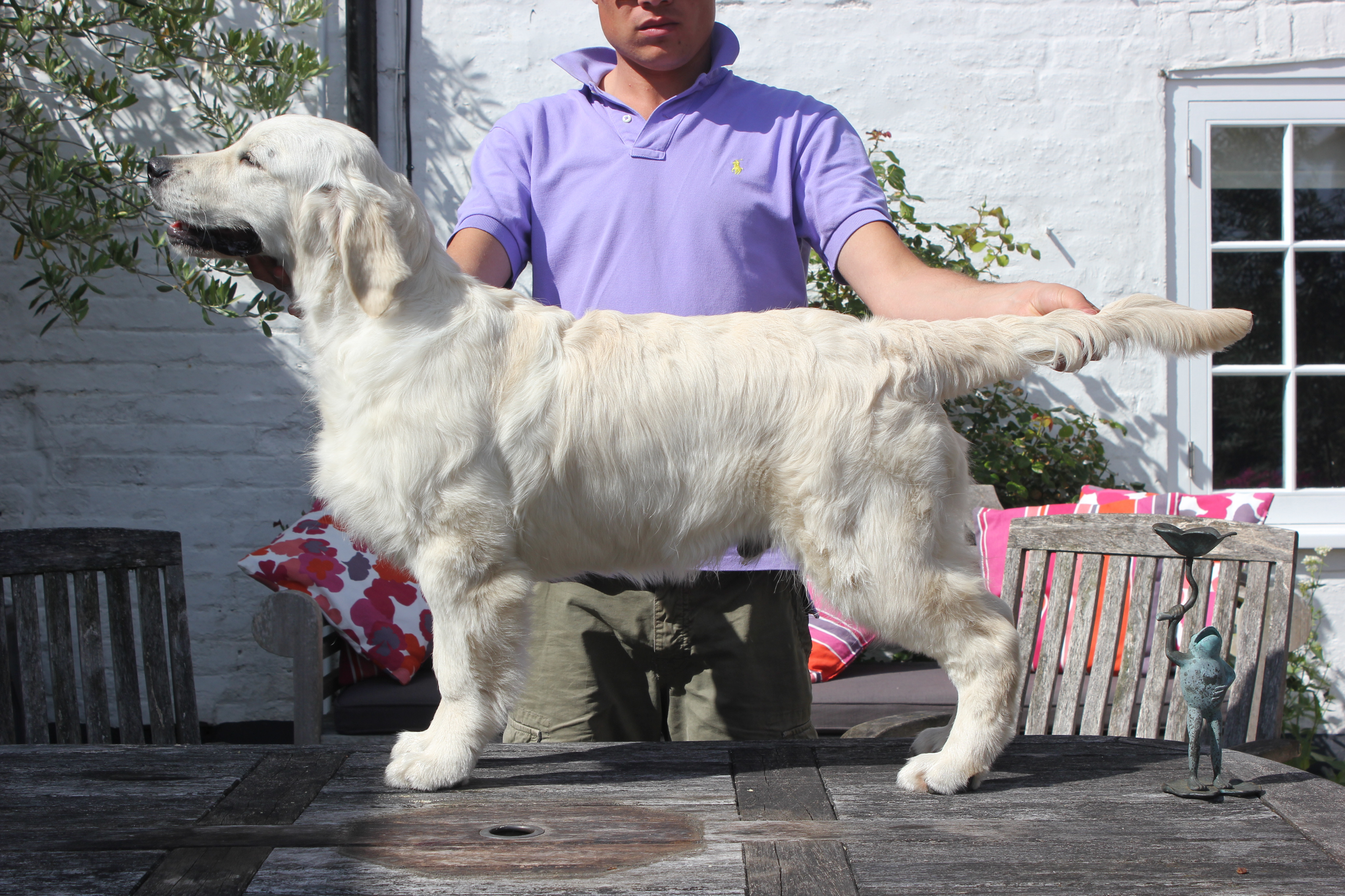 Xanthos Bullet Proof