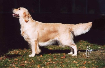 Lah Di Dah – full body