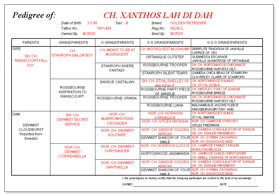 Lah Di Dah pedigree