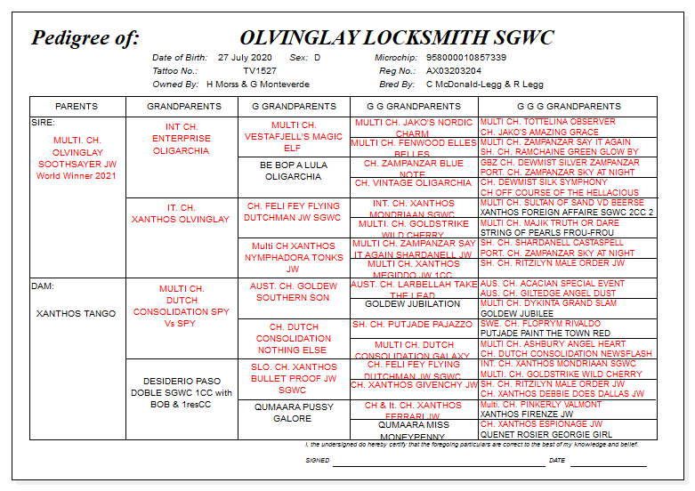 Loki pedigree 2022