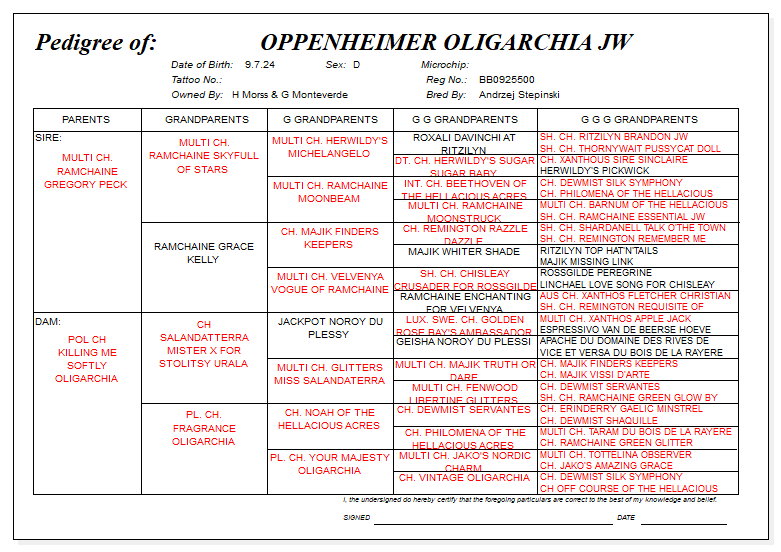 Oppenheimer pedigree