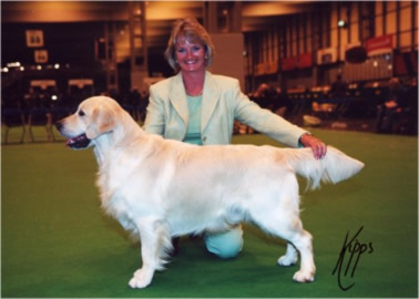 Tom Foolery at Crufts