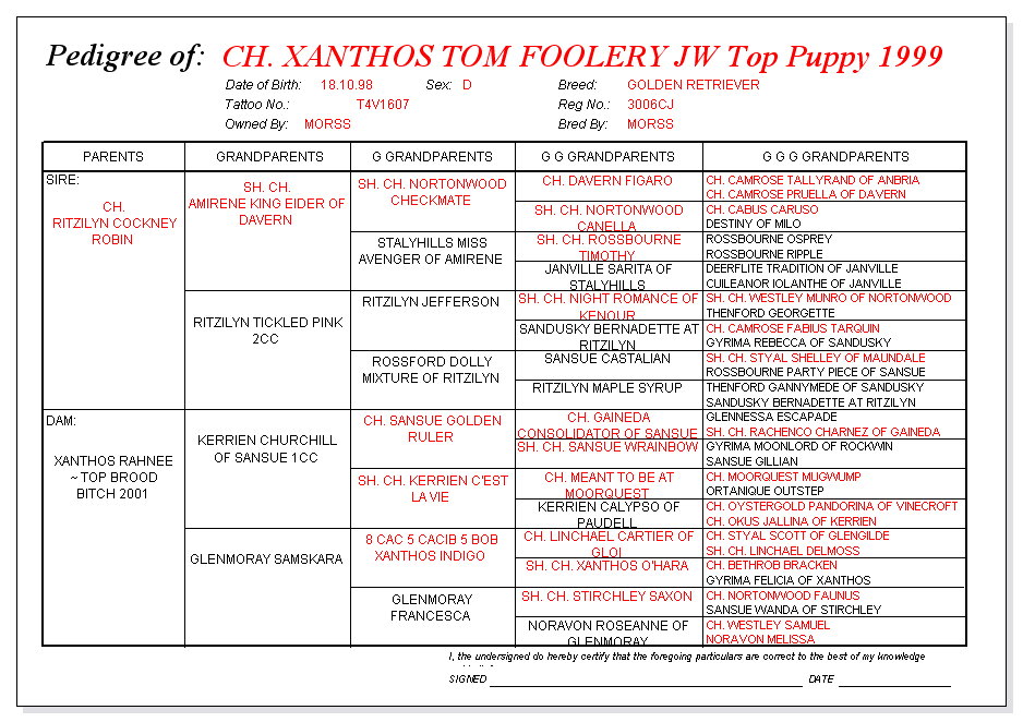 Tom Foolery pedigree